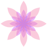 Merakle.ai Logo